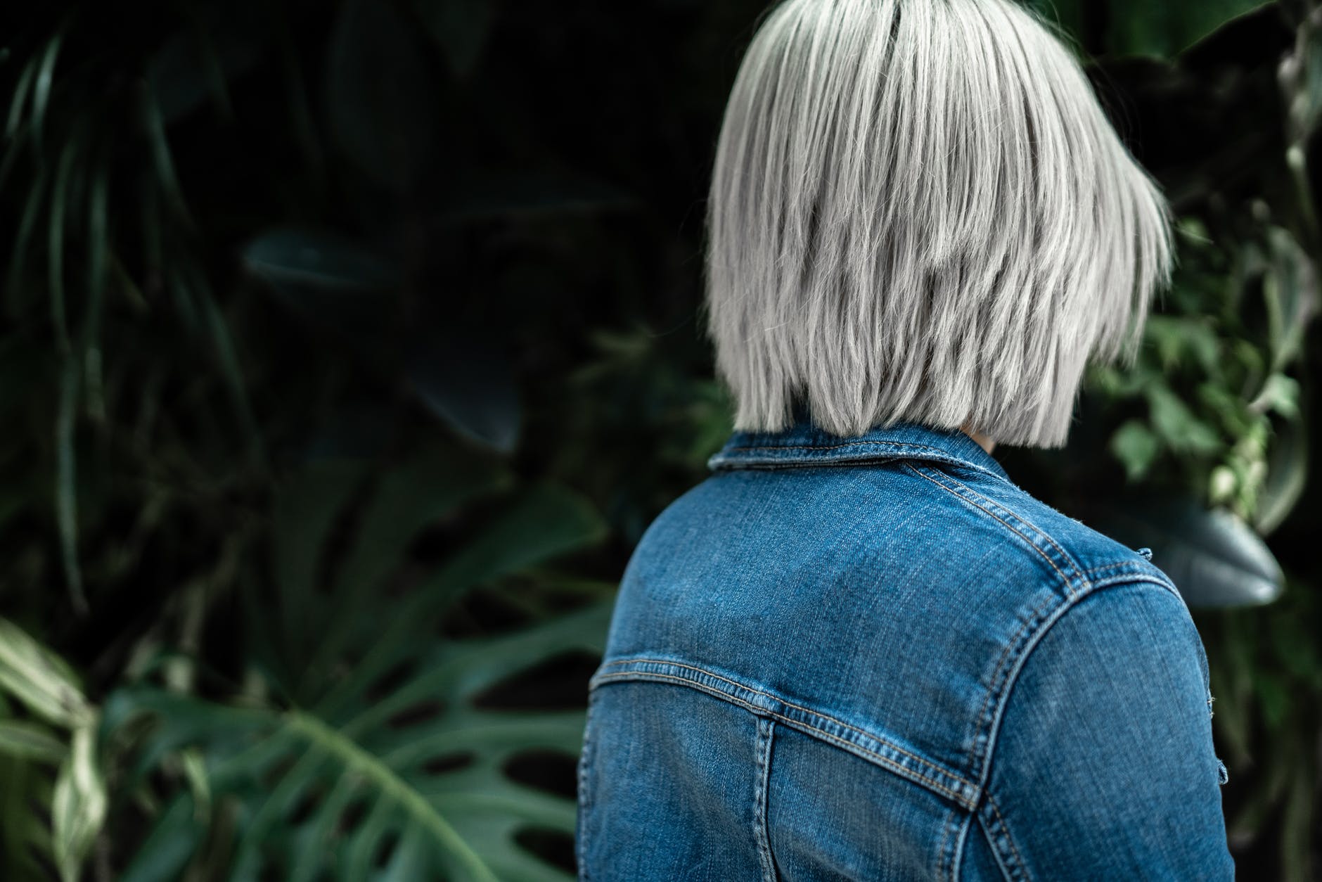 person wearing blue denim jacket with platinum hair - How to Dye Your Hair Back from Blonde