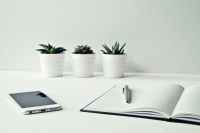 three white ceramic pots with green leaf plants near open notebook with click pen on top