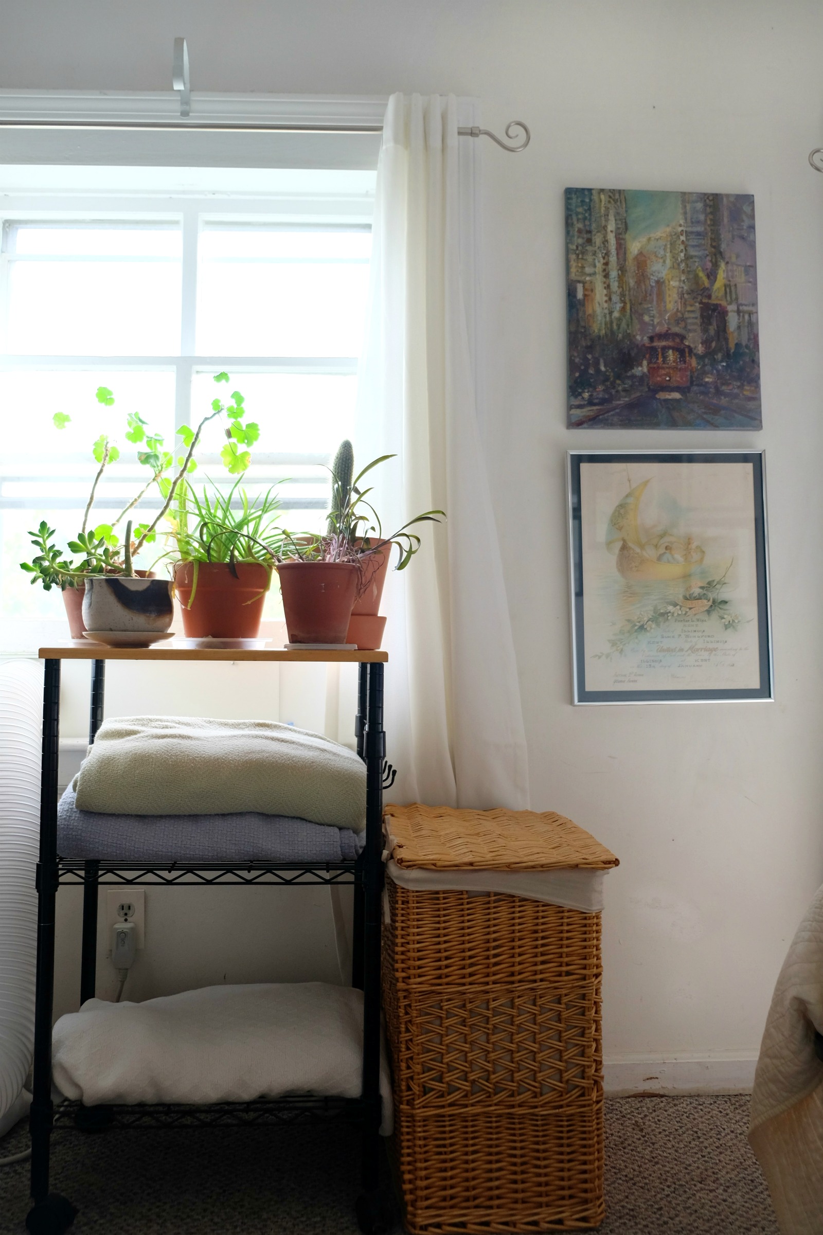 image shows potted plants on shelving with blankets next to wicker hamper - Small Space Organization Tips