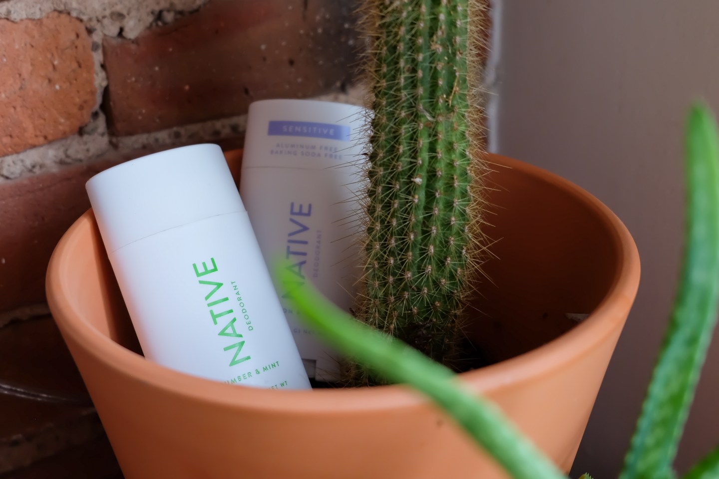 Native deodorant nestled into a terra cotta pot with a cactus in background - Native Deodorant Unsponsored Review