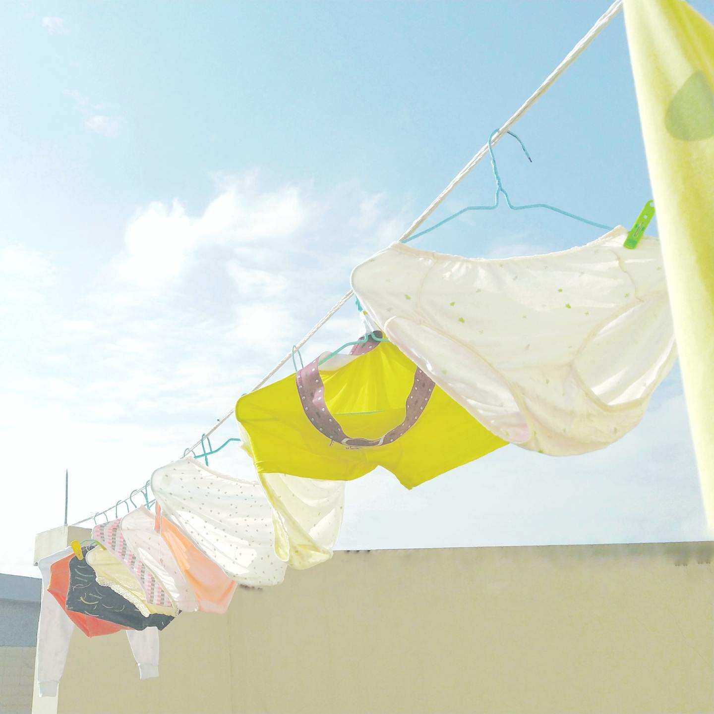 multicolor underwear hanging outside on clothing line - PFAS in Thinx lawsuit
